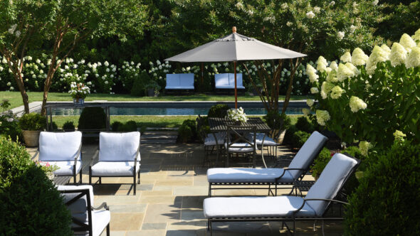 The White Flower Garden 2