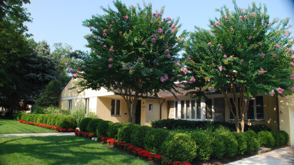 Spring Valley Residence 11 Spring Valley Residence 11