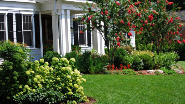 Award-Winning Front Yard Plantings