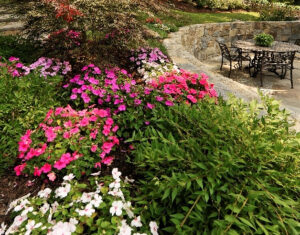 Flower bed on natural stone wall
