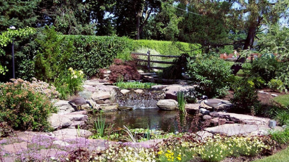 Water features with natural stone and plantings