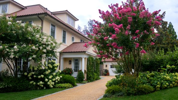 02_Woodbine_selection Woodbine Plantings