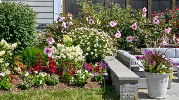 A Lovely Pastoral Setting Plantings
