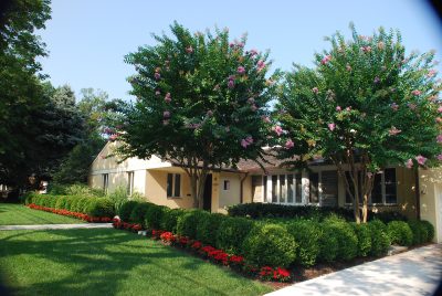 Spring Valley Residence 11
