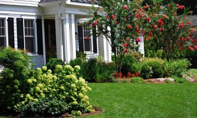 Award-Winning Front Yard Plantings
