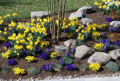 Bethesda Family Resort Plantings