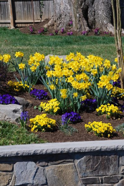Bethesda Family Resort Plantings