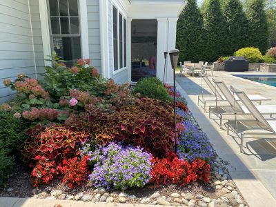 Bethesda Family Resort Plantings