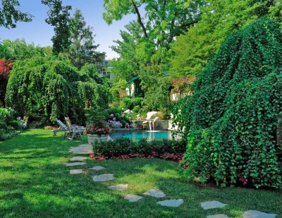 Lush green back yard