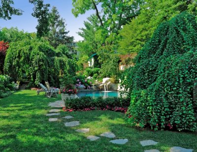 Lush green back yard