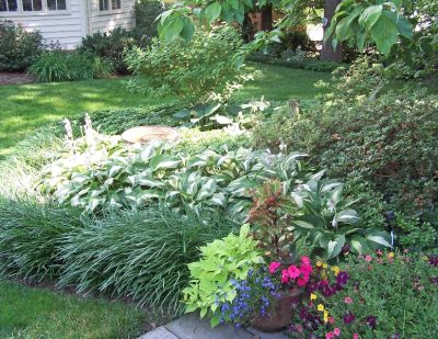 Green and purple plantings