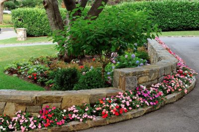 Plantings Maintenance