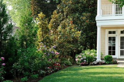 Green yard with lovely garden bed