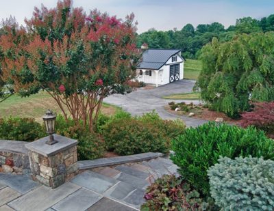 Stone stairs with plantings