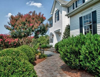 Front sidewalk with shrubbery