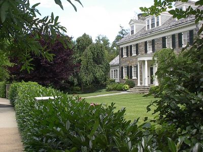 Green front yard with lush shrubbery