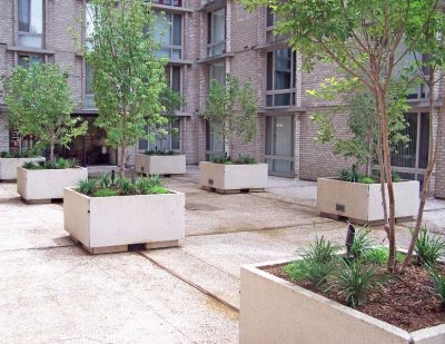 Commercial plantings