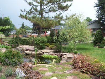 Natural stone and plantings