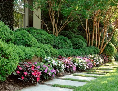 Green shrubbery and colorful annuals