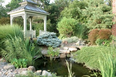 Japanese garden with water feature and plantings