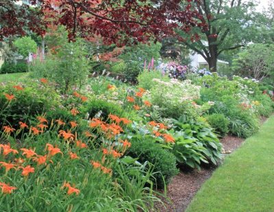 Perfectly cut garden beds and green grass