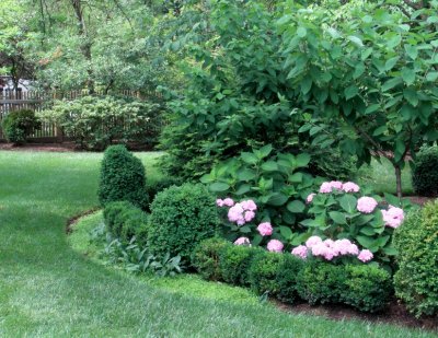 Green grass, shrubs and cut garden beds