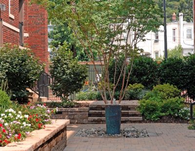 Stone patio and plantings