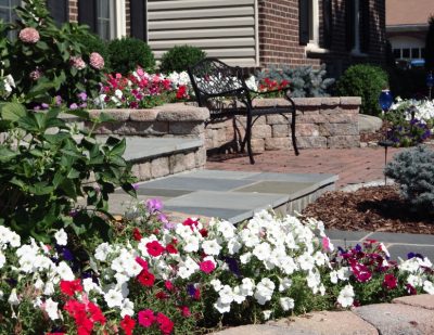 Colorful annual plantings