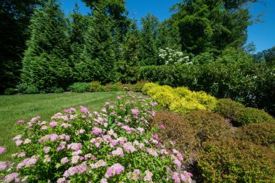 Ingelwood Custom Stone Patio and Plantings
