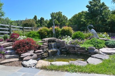 A Lovely Pastoral Setting Plantings